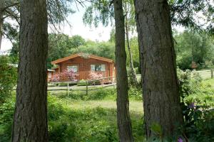 Zahrada ubytování Cottesmore Hotel Golf & Country Club