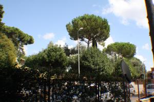 a bunch of trees behind a fence with a street light at Conny's Home in Rome