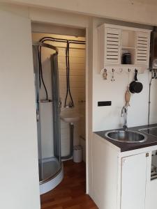 een kleine badkamer met een wastafel en een douche bij Großes gemütliches Hausboot in Berlin in Berlijn