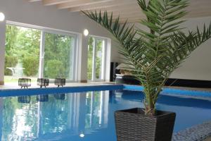 een groot zwembad met een palmplant in een zwarte pot bij Penzión Hellene in Piešťany