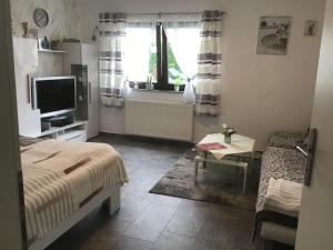 1 dormitorio con 1 cama, TV y ventana en Haus-Irena-2, en Longkamp