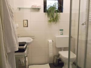y baño con aseo y lavamanos. en Haus-Irena-2, en Longkamp