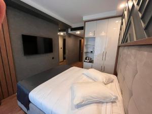 薩潘賈的住宿－Cabir Deluxe Hotel Sapanca，一间卧室配有一张大床和电视