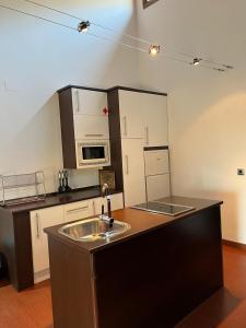 Kuchyňa alebo kuchynka v ubytovaní Apartamentos Rurales En Plena Sierra