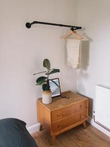 a bedroom with a table with a plant on it at Field View Lodge in Niton