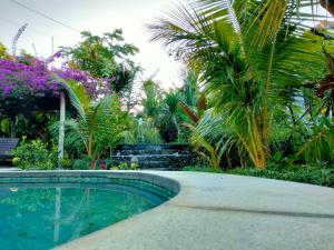 Kolam renang di atau di dekat Pier26 Bali Homestay