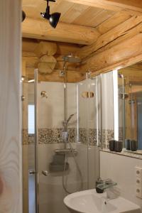 a bathroom with a shower and a sink at Blockhaus Waldsee 8 in Rieden