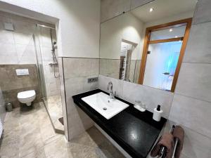 La salle de bains est pourvue d'un lavabo, d'une douche et de toilettes. dans l'établissement Wildkräuter-Gasthof Linde, à Löffingen