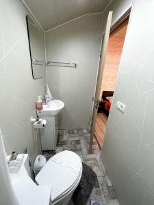 a bathroom with a toilet and a sink at Magic Box in Constanţa