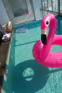 a pink swan float in a swimming pool at Rooftop sea view with private swimming pool in Nazaré