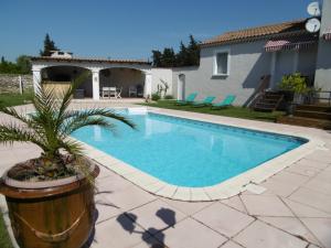 a swimming pool with a palm tree next to a house at Les chambres d'hôtes d'Eloïse, piscine privée in Aramon