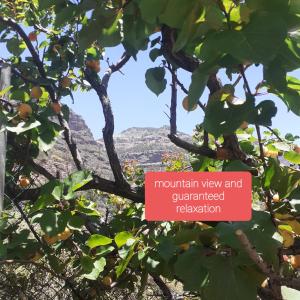 a sign on a tree with a mountain view and guaranteed relaxation at La finca del don Ganapati in San Bartolomé de Tirajana