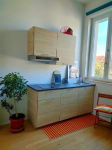 A kitchen or kitchenette at MonoPat Még 18 kép