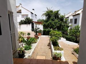 einen Innenhof eines Hauses mit Topfpflanzen in der Unterkunft Casa Adosada Bel Andalus in Estepona