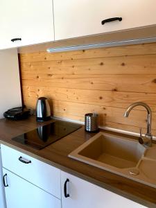 a kitchen with a sink and a wooden wall at Domki u Oli in Stegna