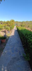 a stone path leading into a field with plants at Orosei RE - Villa Aurora Rimedia a 50 metri dal mare in Orosei