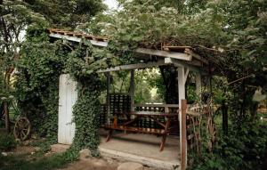 a wooden bench sitting under a pergola at Căsuța cu Miez - Treehouse in Vîlsăneşti