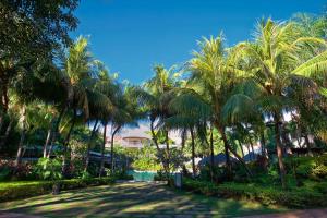 einen von Palmen gesäumten Weg in einem Park in der Unterkunft Hotel Tamarindo Diria Beach Resort in Tamarindo