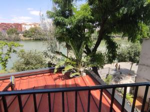 Výhľad na rieku v blízkosti apartmánu