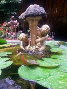 A garden outside Guest House Il Limone Nascosto