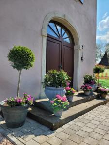a group of potted plants in front of a door at Marien Turm in Saarlouis