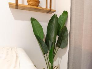 Fotografia z galérie ubytovania Gorgeous renovated apartment 2BR AC v destinácii Málaga