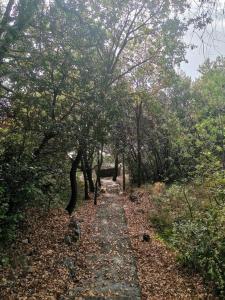 Príroda v okolí apartmánu