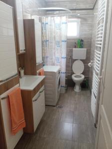 uma pequena casa de banho com WC e lavatório em Valja Mare Moma em Golubac