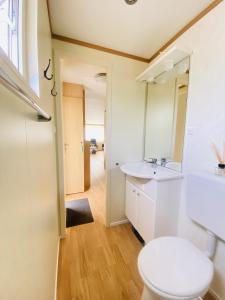 a bathroom with a toilet and a sink and a mirror at Beach Resort Kamperland - 1653 in Kamperland +8 photos