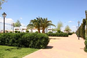 un parc avec des buissons, des palmiers et des lumières de rue dans l'établissement Townhouse Casa Champis, à San Pedro del Pinatar