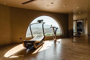 a gym with a treadmill and a large window at Acro Suites - A Wellbeing Resort in Agia Pelagia