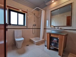 ein Bad mit einem WC, einem Waschbecken und einer Dusche in der Unterkunft Faraway Lake in Ferreira do Zêzere