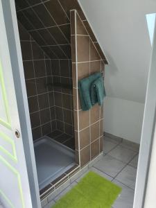 Saint-ClémentGîte du ronthaunay的相册照片