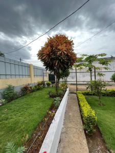 Φωτογραφία από το άλμπουμ του J Nova LDA στο Σάο Τομέ +23 φωτογραφίες