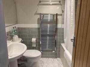 a bathroom with a toilet and a sink at The Galleon Inn in Fowey +43 photos