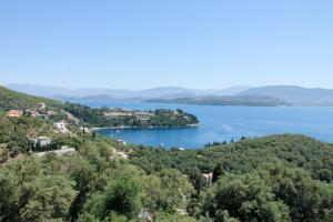 Táj Show holiday homes közelében