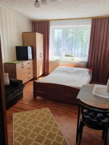 a bedroom with a bed and a tv and a window at Pokoje Gościnne Angelika in Wisła