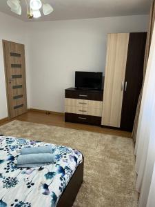 a bedroom with a bed and a tv on a cabinet at Apartament Andrei Baile Felix in Baile Felix