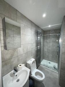 a bathroom with a toilet and a sink and a shower at Double room with private bathroom in Basingstoke in Basingstoke