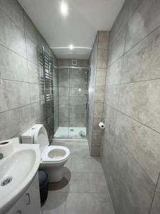 uma casa de banho com um WC, um lavatório e um chuveiro em Double room with private bathroom in Basingstoke em Basingstoke
