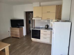 Köök või kööginurk majutusasutuses Apartment Mario