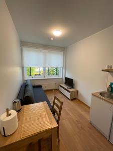 ein Wohnzimmer mit einem Sofa und einem Tisch in der Unterkunft Pepleri Studio 49 in Tartu