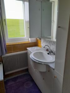 a bathroom with a sink and a mirror and a window at Finihaus in Bad Zell