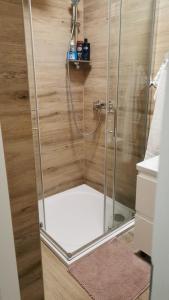 a shower with a glass door in a bathroom at Apartment Deni in Pula