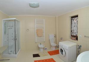 a bathroom with a washing machine and a toilet at Cabana Paradisul Verde Neamt in Târgu Neamț