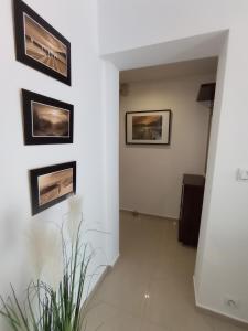een hal met foto's aan de muur en een plant bij MK Apartament II in Rzeszów