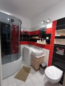 een badkamer met een toilet, een douche en een wastafel bij MK Apartament II in Rzeszów