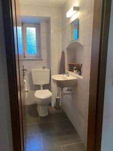 a bathroom with a toilet and a sink at Ferienwohnung Dorfperle in Bad Mergentheim