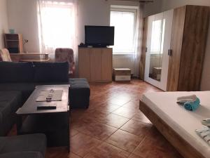 een woonkamer met een bank en een tv bij Dvacítka in České Budějovice