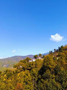 阿尔莫拉Boros Resorts Binsar的山顶上有树的房子